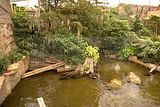 leipzig zoo-01_07_2011_gondwanaland_122